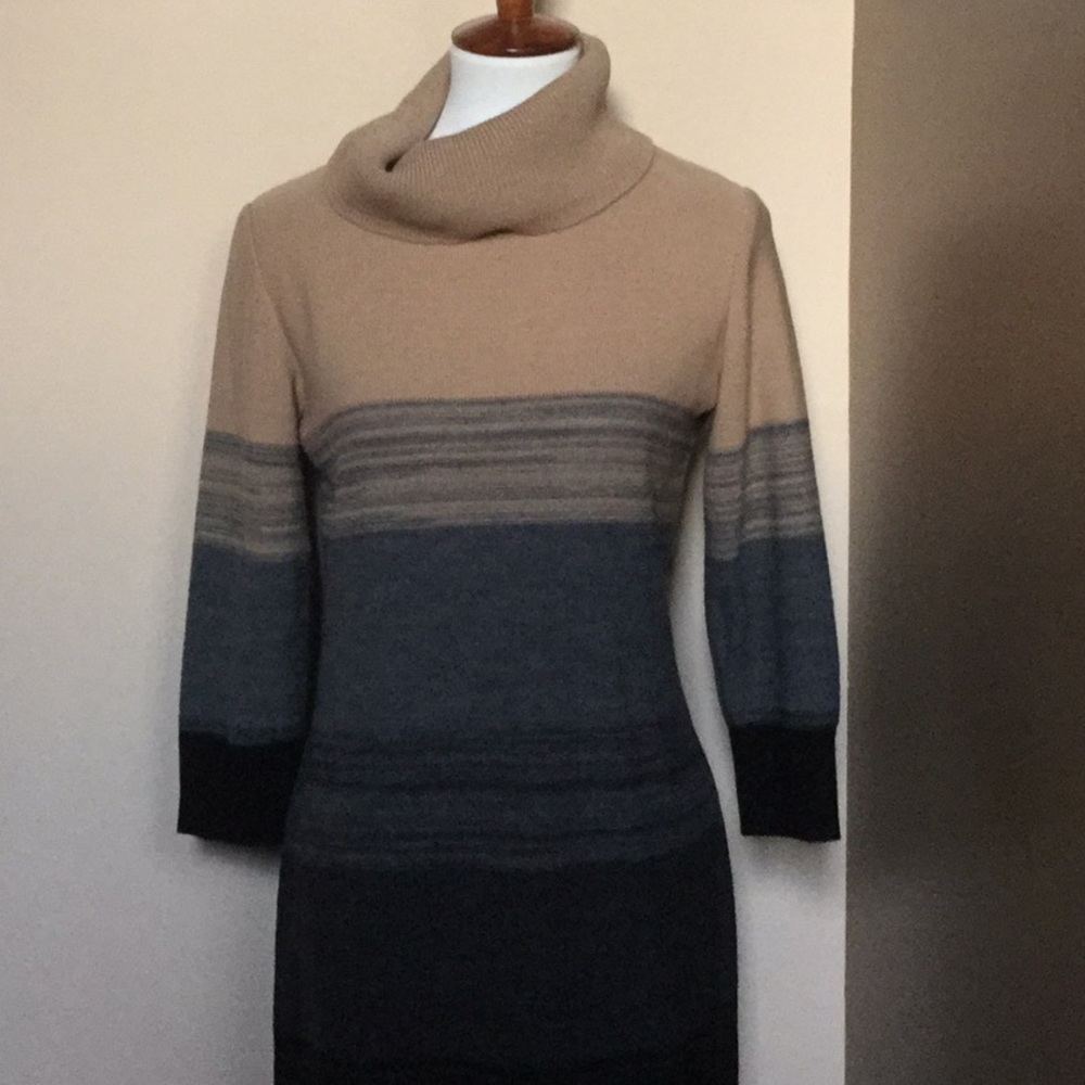 Nina Leonard Lennie Ombré sweater dress